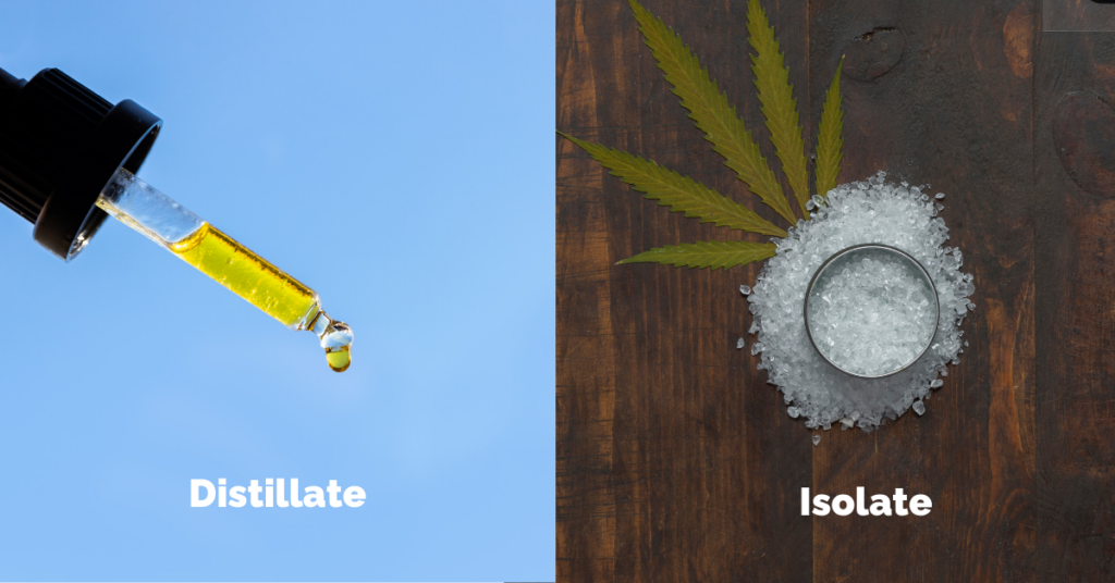 comparing the visual differences between cbd distillate and cbd isolate